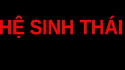 Giáo án điện tử Khoa học tự nhiên 8 Bài 41 Cánh diều: Hệ sinh thái