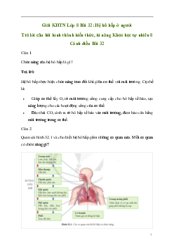 Giải KHTN 8 Bài 32: Hệ hô hấp ở người | Cánh diều