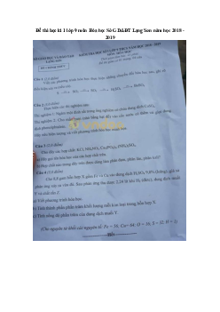 Đề thi học kì 1 lớp 9 môn Hóa học Sở GD&ĐT Lạng Sơn năm học 2018 - 2019