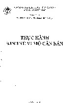 Bài tập thực hành vi mô căn bản | Trường Đại học Kinh tế Quốc dân