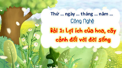 Bài giảng điện tử môn Công nghệ 4 | T1. Bài 1. Lợi ích của hoa, cây cảnh đối với đời sống | Kết nối tri thức