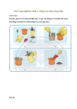 Giải Công nghệ lớp 4 Bài 4: Trồng cây cảnh trong chậu | Chân trời sáng tạo