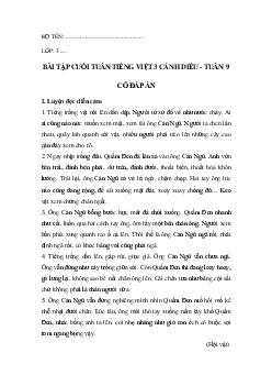 Bài tập cuối tuần tiếng Việt lớp 3 Cánh diều Tuần 9 cơ bản