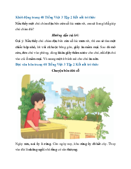 Giải SGK Tiếng Việt 3 trang 48, 49 Bài 11: Chuyện bên cửa sổ - Đọc | Kết nối tri thức