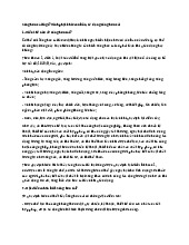 Súng hoa cải là gì? Hình phạt khi mua bán, sử dụng súng hoa cải