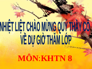 Giáo án điện tử Khoa học tự nhiên 8 Bài 15 Kết nối tri thức: Áp suất trên một bề mặt