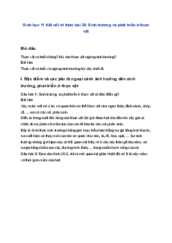 Sinh học 11 Kết nối tri thức bài 20: Sinh trưởng và phát triển ở thực vật