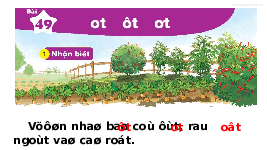Giáo án điện tử Tiếng việt 1 bài 49 Chân trời sáng tạo: Học vần: ot, ôt, ơt