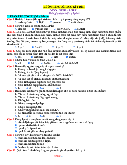 TOP 2 đề ôn thi cuối học kỳ I môn sinh học lớp 11