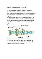Đề cương ôn tập - Sinh học đại cương | Đại học Lâm Nghiệp