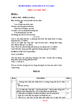 Bộ đề thi HSG Ngữ Văn 6 theo cấu trúc mới (có đáp án)