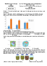Đề thi thử tốt nghiệp  THPT môn sinh học Môn Sinh học | Trường Đại học Huế