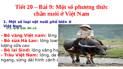 Giáo án điện tử Công nghệ 7 Bài 9 Chân trời sáng tạo: Một số phương thức chăn nuôi ở Việt Nam