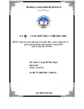 Phân tích quan điểm của Chủ nghĩa Mác – Lenin về dân tộc và giải quyết vấn đề dân tộc trong cách mạng XHCN Liên hệ thực tiễn Việt Nam | Bài tập lớn môn Chủ nghĩa xã hội Neu