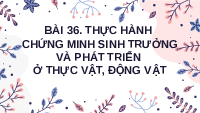Giáo án điện tử Khoa học tự nhiên 7 bài 36 Chân trời sáng tạo : Thực hành chứng minh sinh trưởng và phát triển ở thực vật, động vật