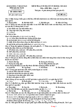 TOP 2 đề thi HK1 sinh 12 Quảng Nam 2022-2023 (có đáp án)