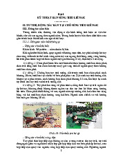 Hướng Dẫn Kỹ Thuật Động Tác Bắn Súng Tiểu Liên AK