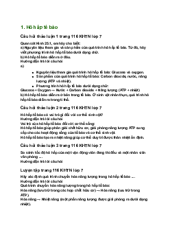 Giải SGK Khoa học tự nhiên 7 Bài 26: Thực hành về hô hấp tế bào ở thực vật thông qua sự nảy mầm của hạt| Chân trời sáng tạo