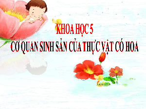 Giáo án điện tử Khoa học 5 Chân trời sáng tạo: Cơ quan sinh sản của thực vật có hoa
