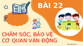 Giáo án điện tử Tự nhiên và Xã hội 2 Bài 22 Kết nối tri thức: Chăm sóc, bảo vệ cơ quan vận động