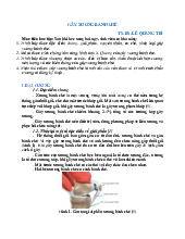 Tài liệu Gãy Xương Bánh Chè | Đại học Y Tế Công Cộng