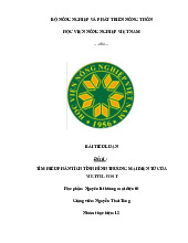 bài tiểu luận đề tài : tìm hiểu phân tích tình hình thương mại điện tử của viettel post môn Nguyên lý kiểm toán   | Học viện Nông nghiệp Việt Nam