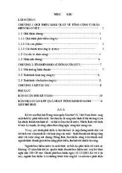 Tiểu luận môn lý thuyết tài chính tiền tệ đề tài giới thiệu công ty bảo hiểm Bảo Việt