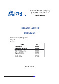 Brand Audit- Pepsico - Marketing - Tài liệu tham khảo | Đại học Hoa Sen