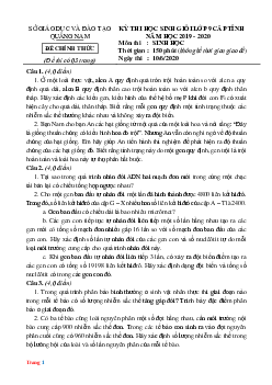 Đề Thi Học Sinh Giỏi Môn Sinh 9 Tỉnh Quảng Nam 2019-2020 (có lời giải)