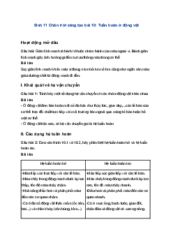 Sinh 11 Chân trời sáng tạo bài 10: Tuần hoàn ở động vật