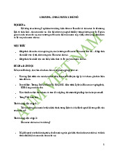 Lý luận chung về Nhà nước và pháp luật - Chương 2: Nhà nước chủ nô
