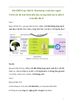 Giải KHTN 8 Bài 29: Dinh dưỡng và tiêu hóa ở người | Cánh diều