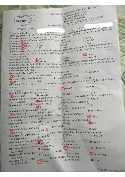 Đề thi tuyển sinh vào 10 môn Tiếng Anh của Sở GD&ĐT Sơn La năm học 2024 - 2025