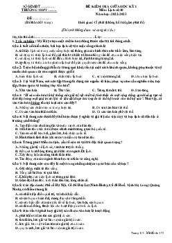 Giải đề thi giữa học kì 1 lớp 10 năm 2023 - 2024 sách Cánh diều | Lịch sử 10  bộ 4