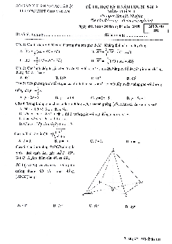 Đề thi học kỳ 2 Toán 11 năm 2018 – 2019 trường THPT Chu Văn An – Hà Nội