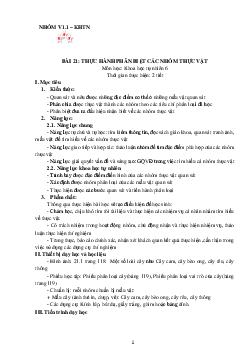 Chủ đề 8. Bài 21: Thực hành Phân chia các nhóm thực vật | Bài giảng KHTN 6 | Cánh diều