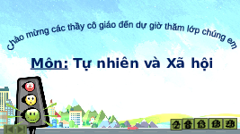 Giáo án điện tử Tự nhiên xã hội 2 Bài 9 Cánh diều: An toàn khi đi các phương tiện giao thông