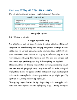 Giải SGK Tiếng Việt 3 trang 37 Bài 8: Bầy voi rừng Trường Sơn - Đọc mở rộng | Kết nối tri thức