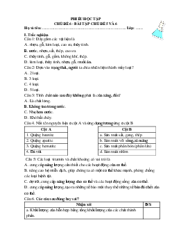 Bài tập chủ đề 5 và 6(Phiếu học tập) | Bài giảng KHTN 6 | Cánh diều
