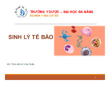 Bài giảng Sinh lý tế bào môn Sinh lý bệnh | Trường Đại học Kỹ thuật Y - Dược Đà Nẵng