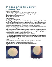 THI THÍ NGHIỆM QUAN SÁT VI SINH VẬT DƯỚI KÍNH HIỂN VI | Đại học Văn Lang