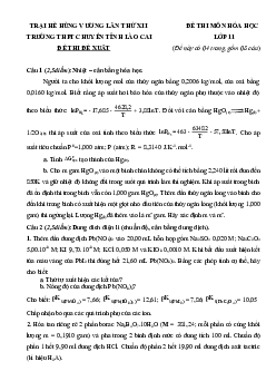 Đề thi, đáp án (đề xuất) trại hè Hùng Vương  chuyên Lào Cai | Hóa 11