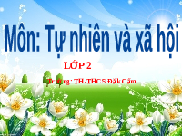 Giáo án điện tử Tự nhiên và Xã hội 2 Bài 27 Kết nối tri thức: Ôn tập chủ đề Con người và sức khoẻ