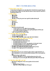 Khái niệm và Đặc trưng Văn hóa Việt Nam - CSVH