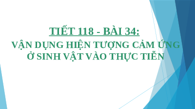 Giáo án điện tử Khoa học tự nhiên 7 bài 34 Kết nối tri thức : Vận dụng hiện tượng cảm ứng ở sinh vật vào thực tiễn