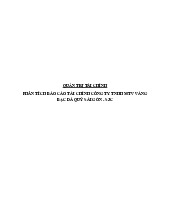 Phân Tích Tài Chính Công Ty SJC | Môn Quản trị tài chính - Trường Cao đẳng Kinh tế - Kỹ thuật Công thương