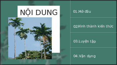 Bài giảng điện tử môn Ngữ văn 7 Bài 5.3 Bài học từ cây cau | Chân trời sáng tạo