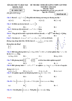 Đề Thi HSG Toán 12 Sở GD&ĐT Quảng Nam 2021 Có Đáp Án