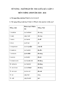 Từ vựng - Ngữ pháp tiếng Anh giữa kì 2 lớp 5 năm 2020 - 2021