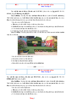 TOP 6 Bộ Đề Thi Học Kỳ 2 Môn Tin 9 (Có Lời Giải)